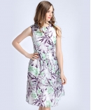 Floral printed organza dress