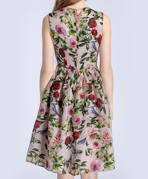 Clothing - Rose printed organza dress