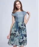 Floral printed organza  silk dress